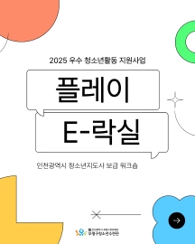 2025 우수 청소년활동 지원사업 <플레이 E-락실> 보급 워크숍 이미지