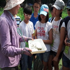 여름자원봉사학교 이미지