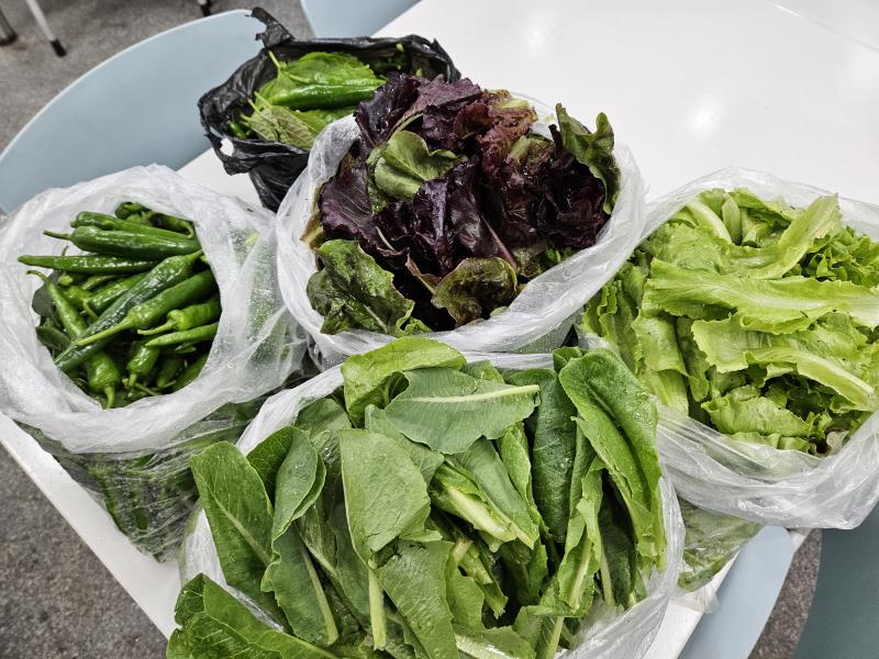 산곡2동 주민자치회 2차 상추 후원의 2번째 이미지