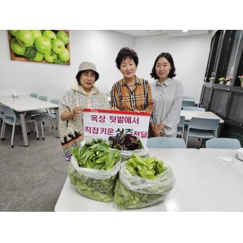 산곡2동 주민자치회 2차 상추 후원 이미지