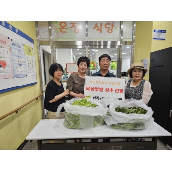 산곡2동 주민자치회 상추 후원 이미지