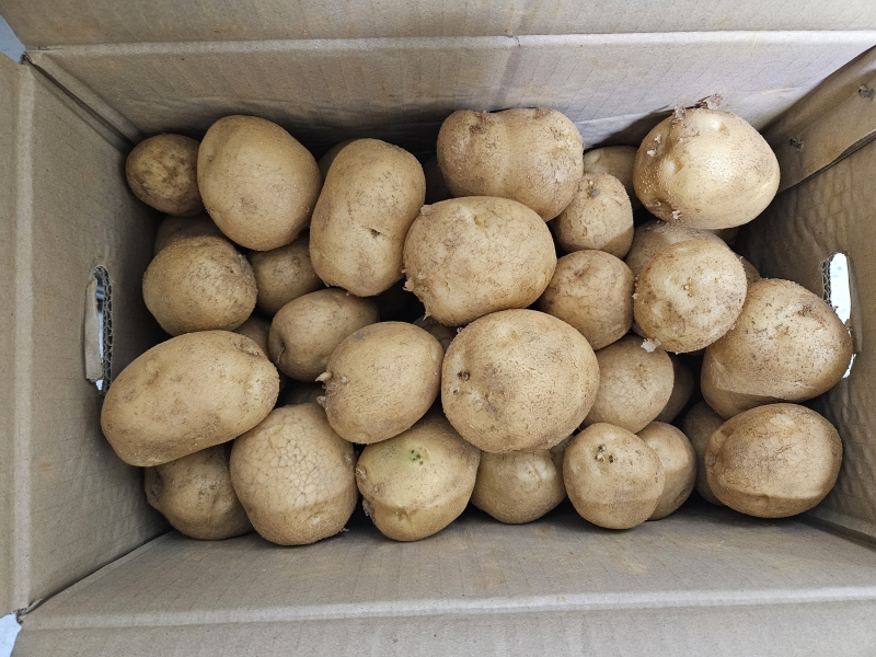 유벨안과 감자후원의 1번째 이미지