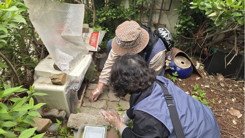 동네고양이돌봄활동가 4월 모니터링의 5번째 이미지