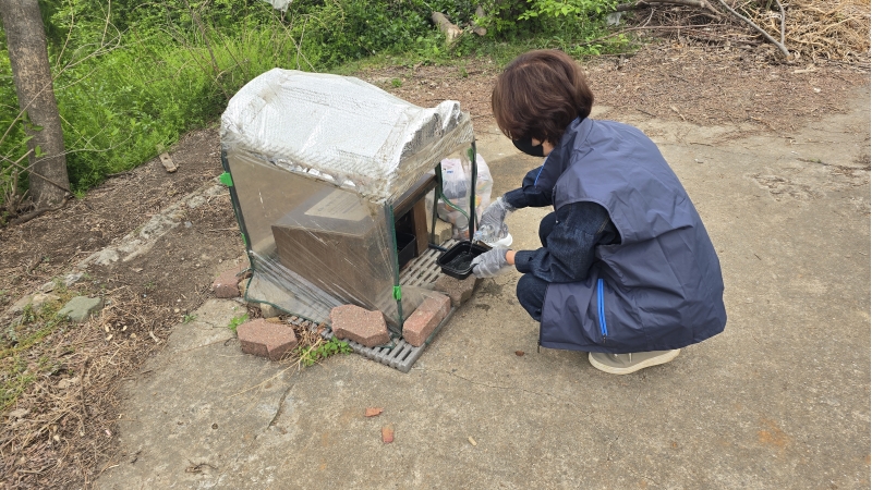 동네고양이돌봄활동가 4월 모니터링의 4번째 이미지
