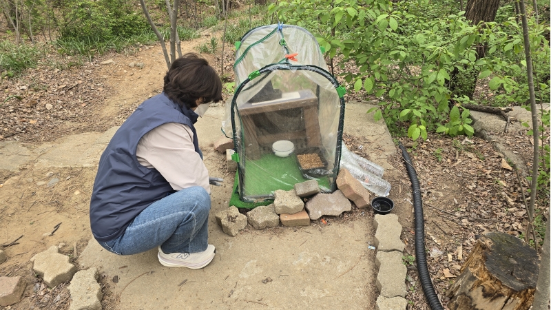 동네고양이돌봄활동가 4월 모니터링의 3번째 이미지