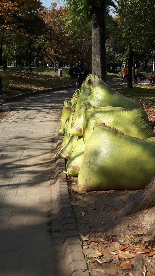 어린이공원관리원 11월 활동사진의 4번째 이미지