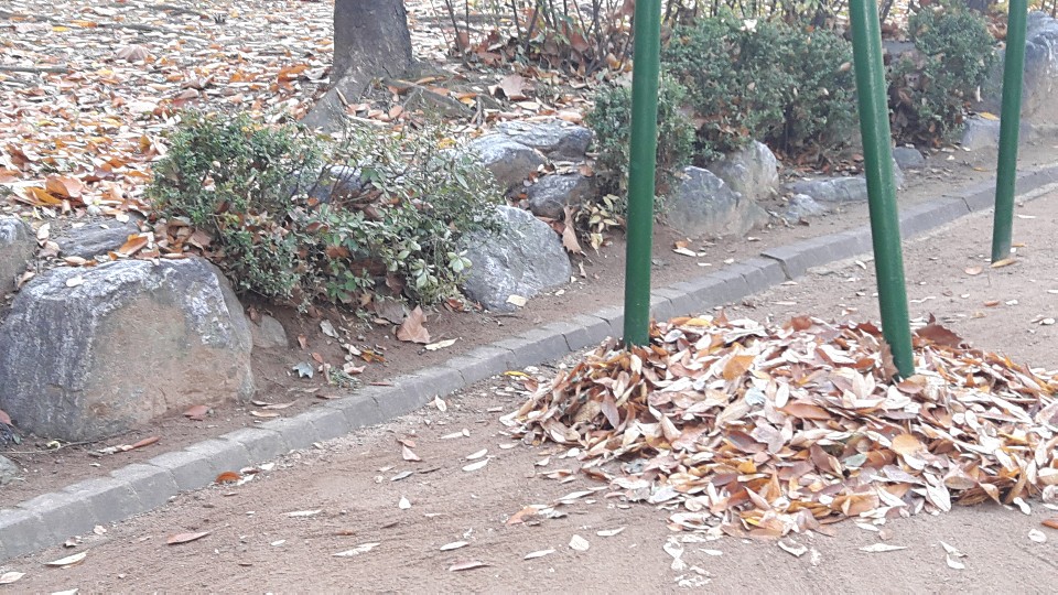 어린이공원관리원 11월 활동사진의 5번째 이미지