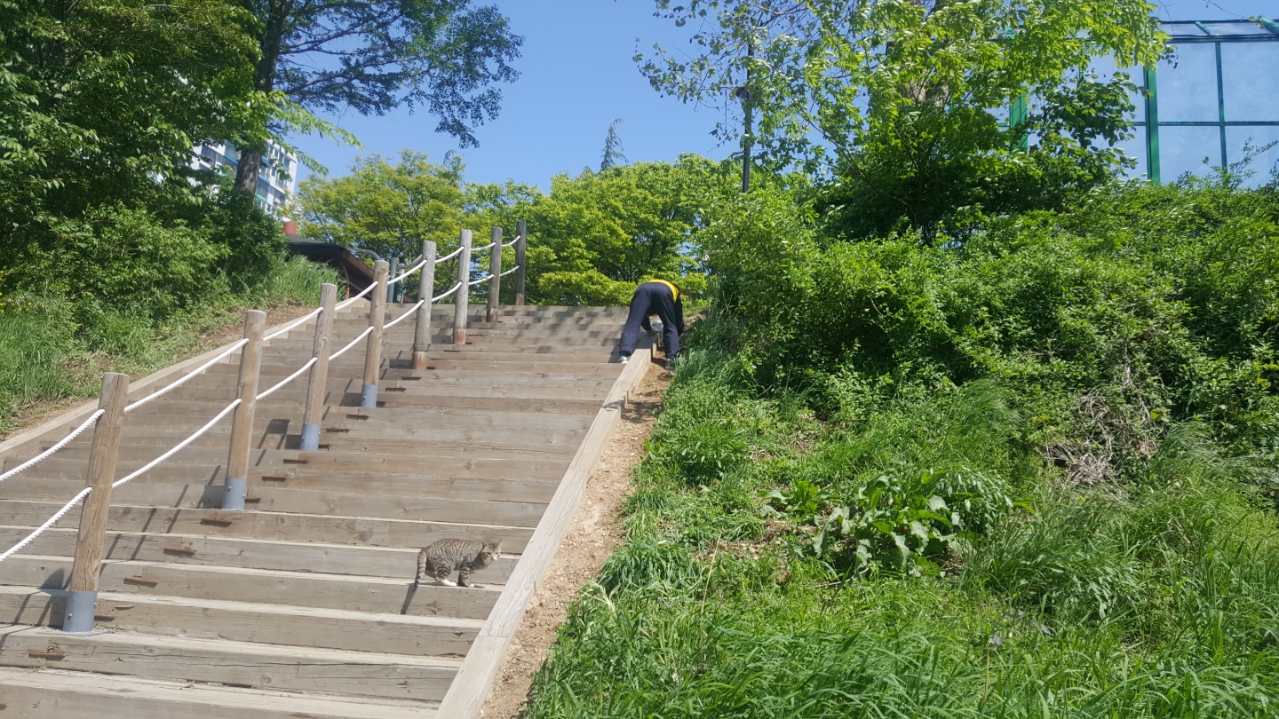 2018년 굴포천지킴이 5월 활동 (2조_대월놀이공원 ~ 굴포2교)의 2번째 이미지