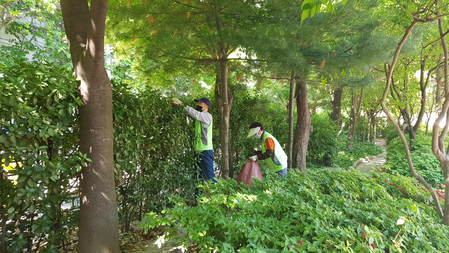 5월 시니어안전지킴이 학교참여자 활동사진의 3번째 이미지