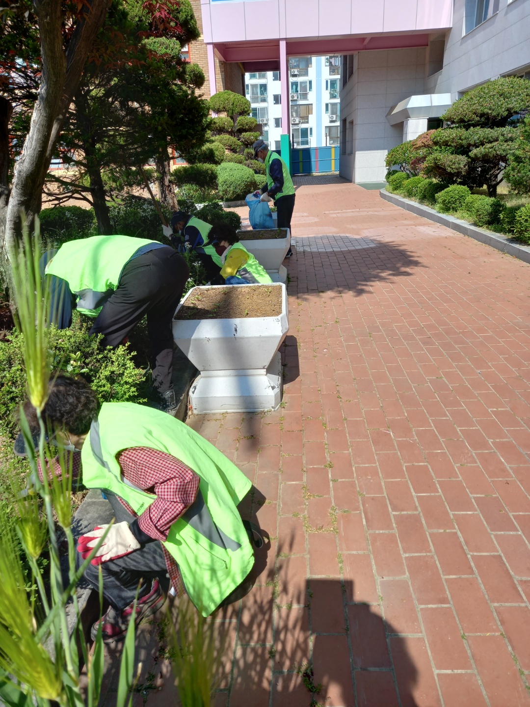 5월 시니어안전지킴이 학교참여자 활동사진 이미지