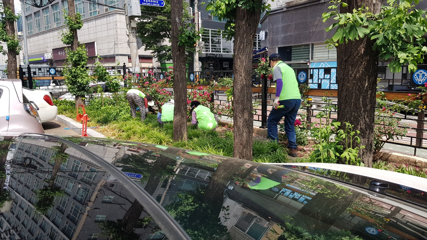 시니어안전지킴이 학교 활동사진 이미지