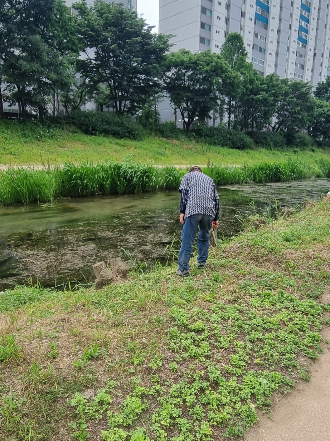 굴포천지킴이 6월 모니터링의 1번째 이미지