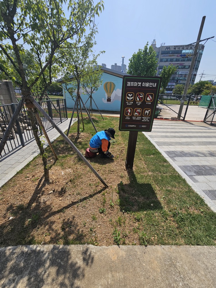 어린이공원(청천,갈산) 5월 모니터링의 5번째 이미지