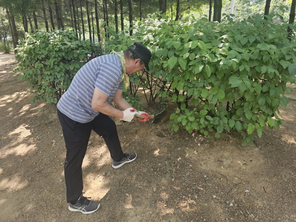 어린이공원관리사업단(청천,갈산) 6월 모니터링의 4번째 이미지