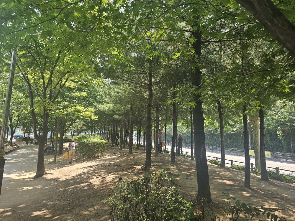 어린이공원관리사업단(청천,갈산) 6월 모니터링의 5번째 이미지