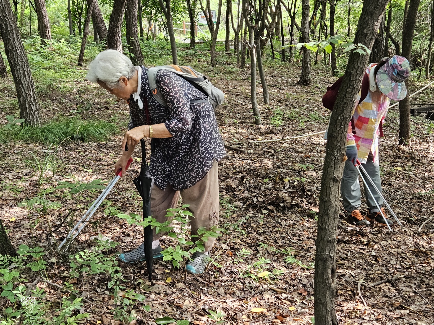 둘레길클린걷기사업 8월 모니터링의 4번째 이미지