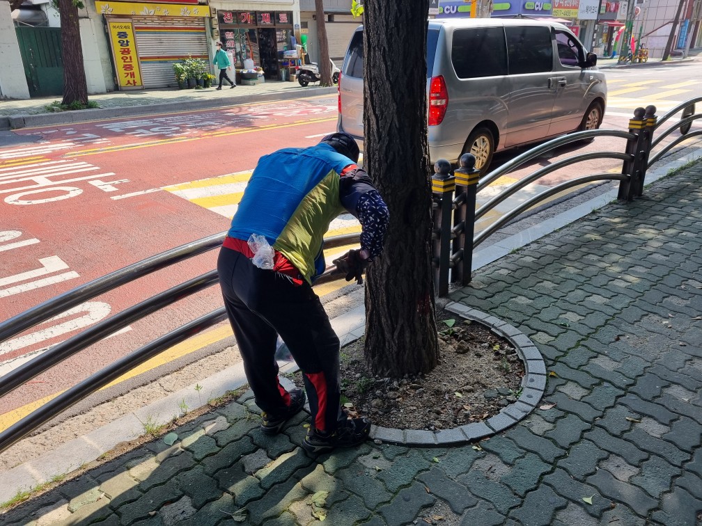 둘레길클린걷기사업 6월 활동 모니터링 이미지