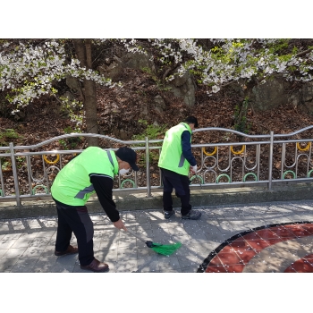 공영주차장관리사업 4월9일 모니터링 이미지
