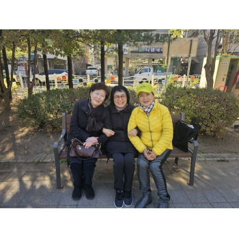 노인맞춤돌봄서비스지원사업 11월 참여자 모니터링 이미지