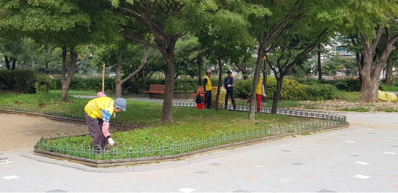 9/25(수) 어린이공원관리원 활동사진의 4번째 이미지
