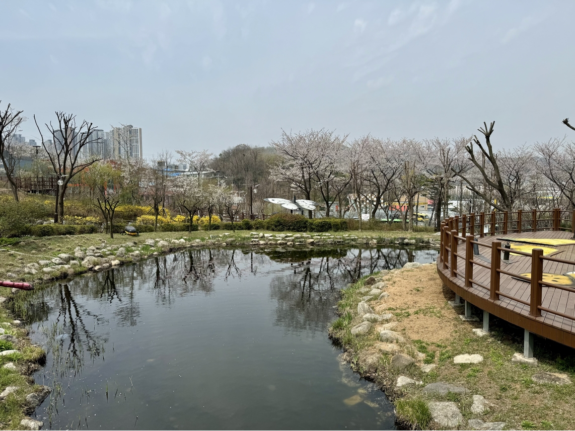 2025 나비공원의 봄의 2번째 이미지
