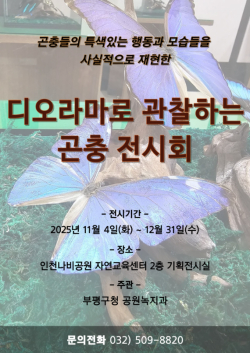 디오라마로 관찰하는 곤충 전시회 이미지