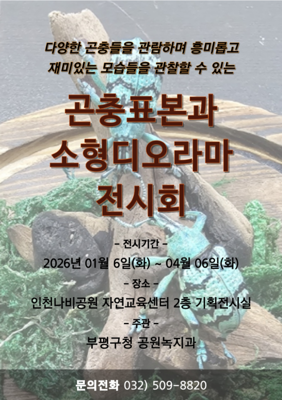 곤충표본과 소형디오라마 전시회 이미지