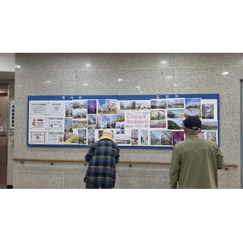 벚꽃 사진 이벤트 진행 이미지