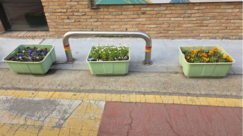 산곡노인문화센터 봄맞이 초화식재 작업의 4번째 이미지