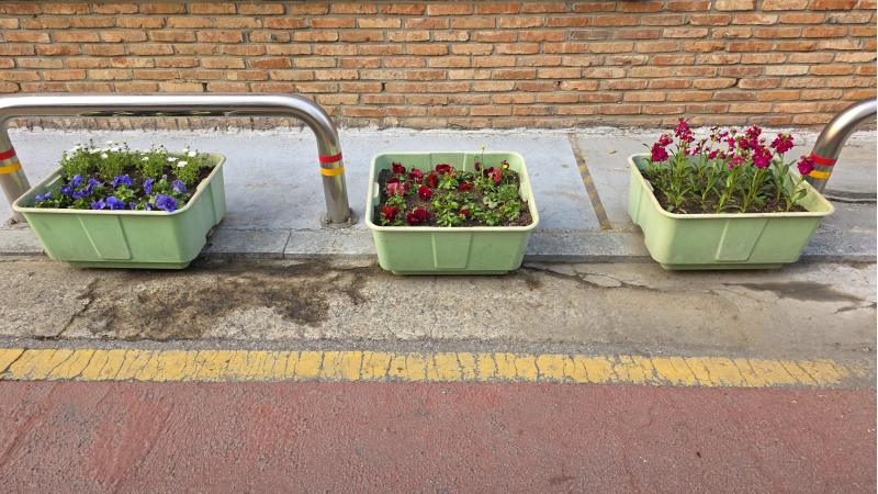 산곡노인문화센터 봄맞이 초화식재 작업의 5번째 이미지