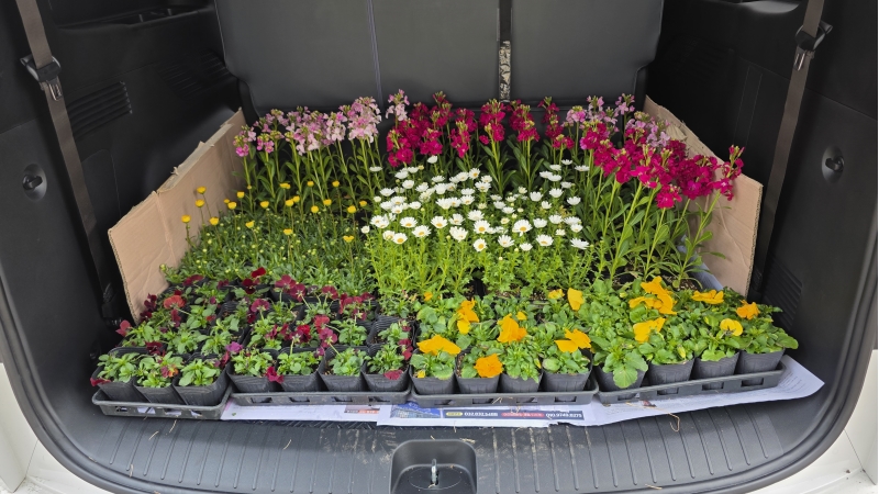 산곡노인문화센터 봄맞이 초화식재 작업의 1번째 이미지