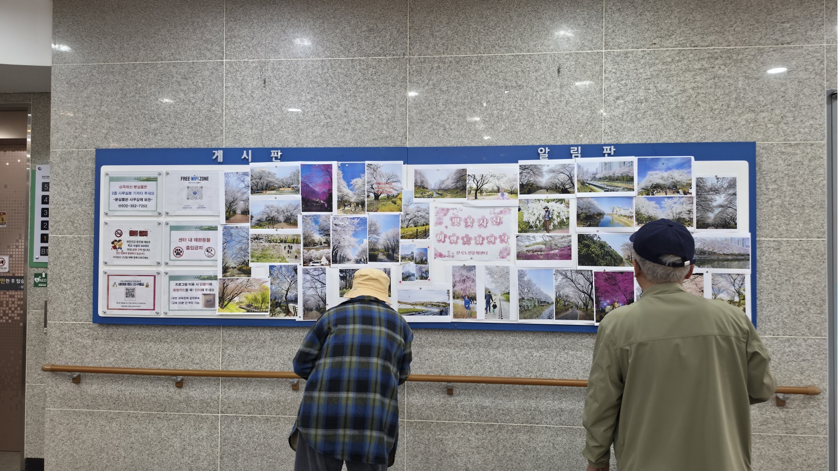 벚꽃 사진 이벤트 진행의 1번째 이미지