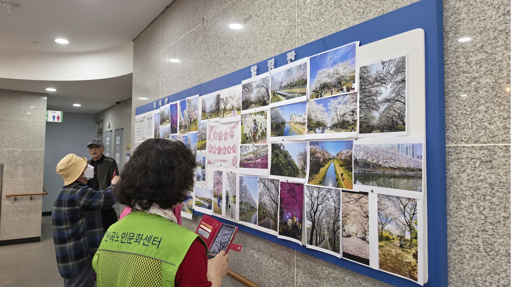 벚꽃 사진 이벤트 진행의 2번째 이미지