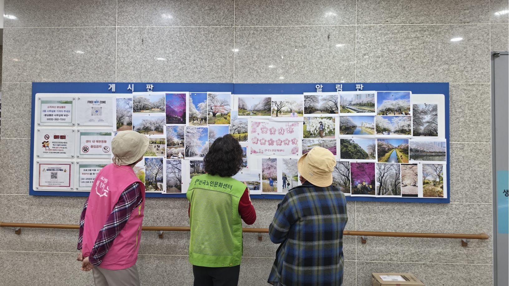 벚꽃 사진 이벤트 진행의 3번째 이미지