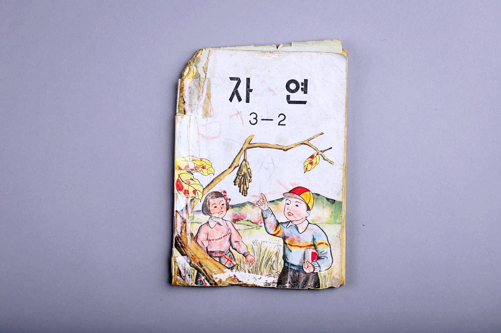 교과서(자연-3학년) 이미지