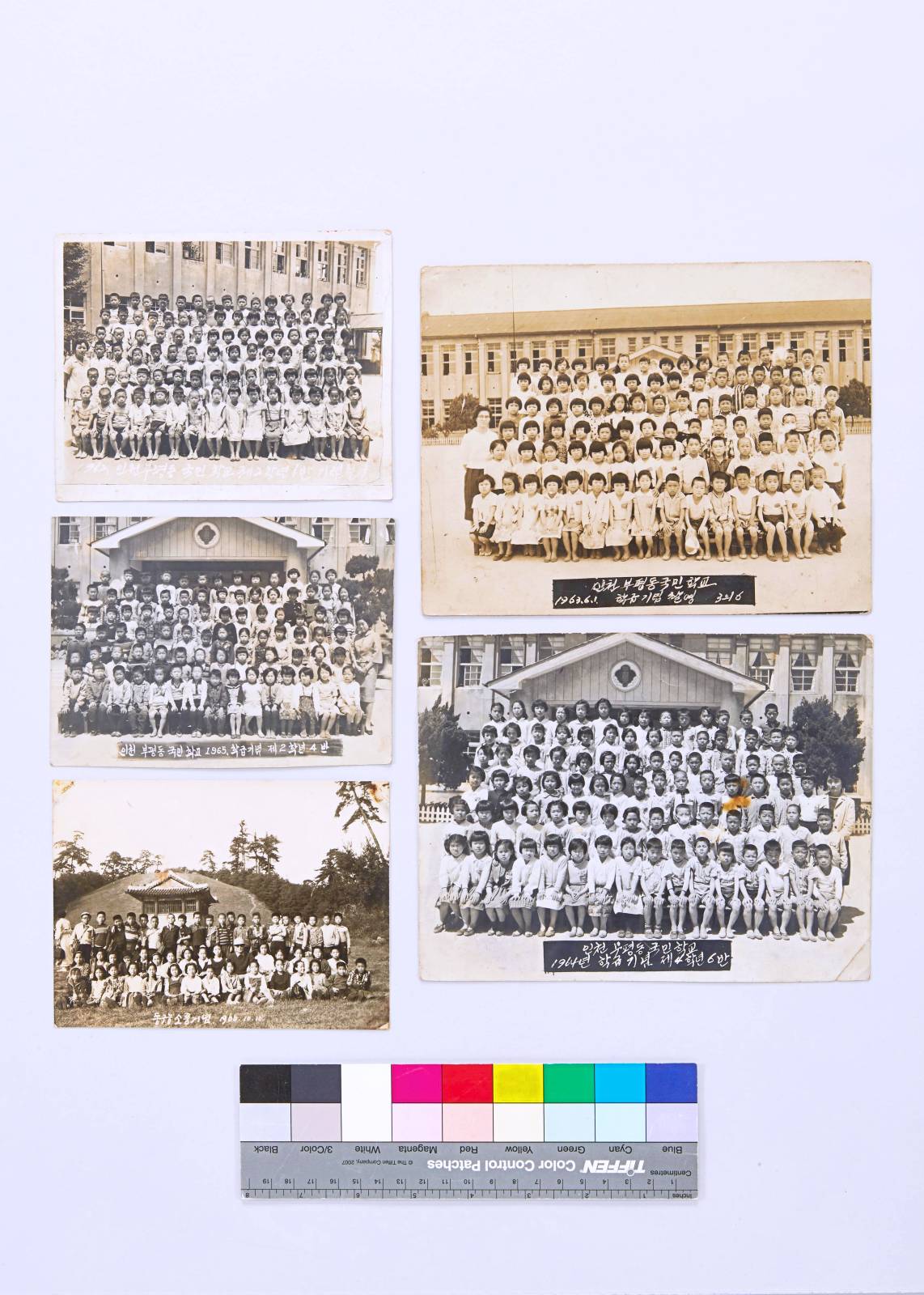 부평동국민학교 기념사진 이미지